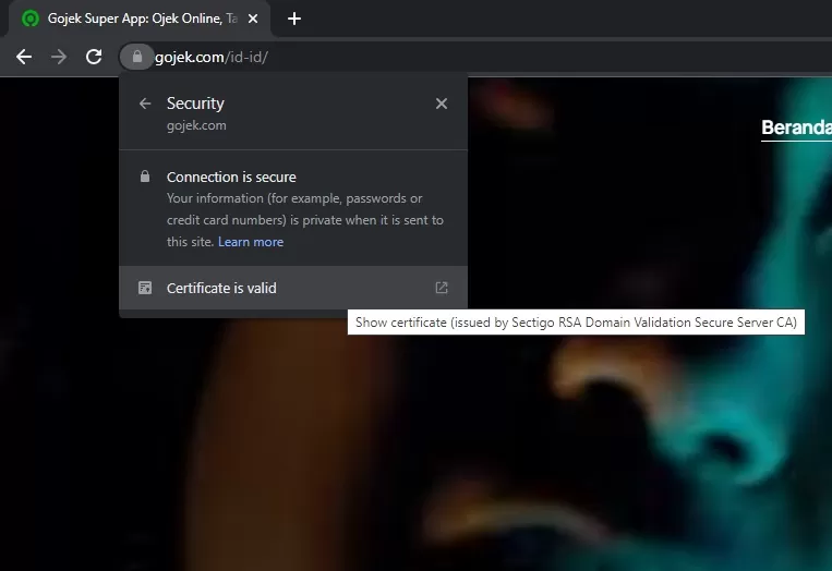Domain Validation (DV) SSL Certificates