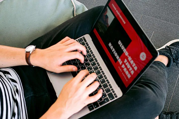 Website Profesional
